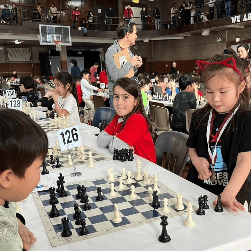 Honey Money: Chicago Chess Foundation